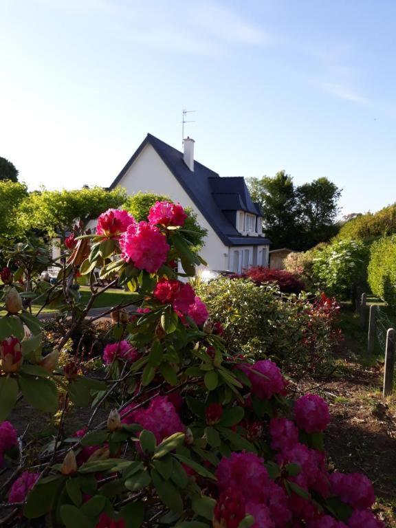 Chambre Sympa Belle Propriete Gouesnou Eksteriør bilde